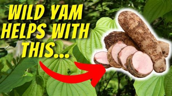 What can I do with yam