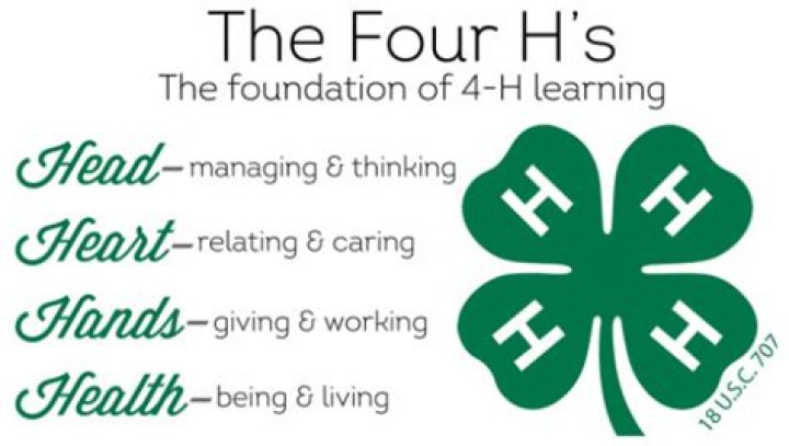 What does 4h stand for